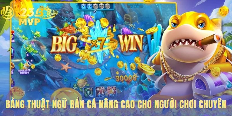 Bảng thuật ngữ bắn cá cho cao thủ thảo luận chiến lược hiệu quả
