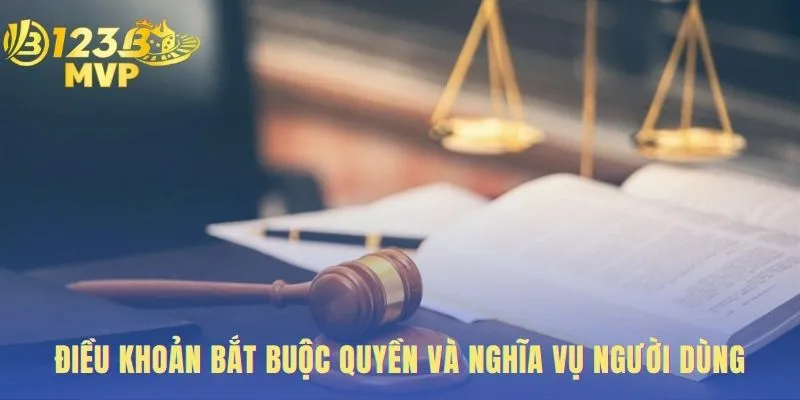 Quyền và nghĩa vụ người dùng xác định trách nhiệm hai chiều